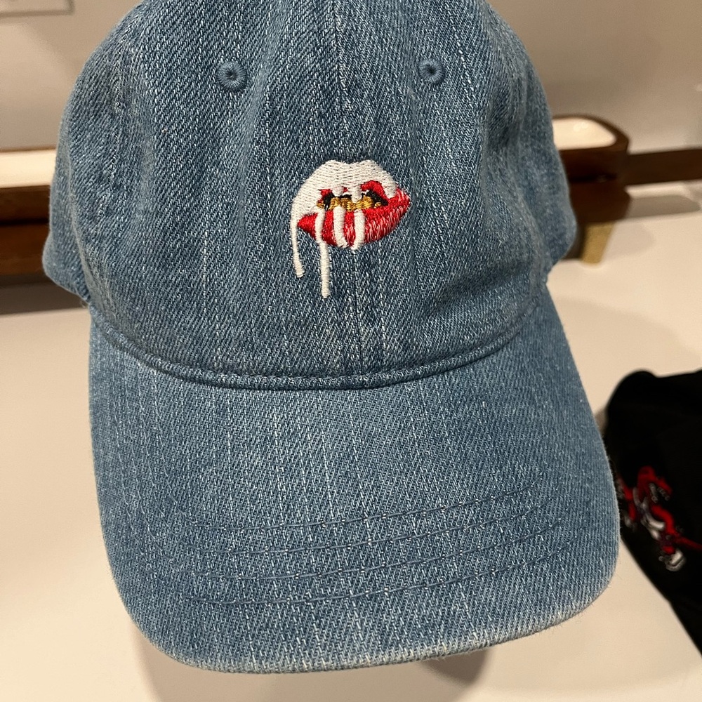 Kylie Cosmetics strap back dad cap Lipstick Logo Jenner